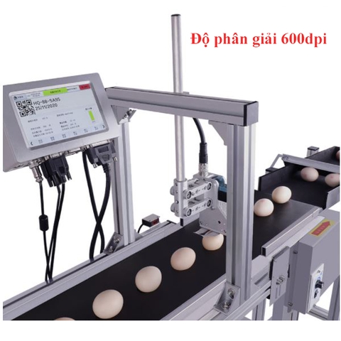 Máy in date trên trứng cường thịnh (1)