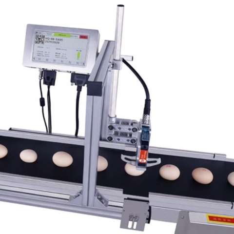 Máy in date trên trứng cường thịnh (1)