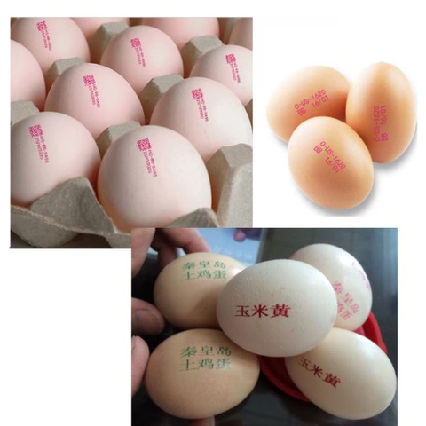 Máy in date trên trứng