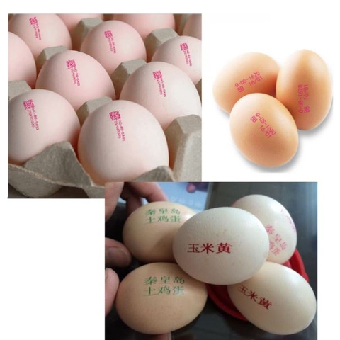 Máy in date trên trứng cường thịnh (1)
