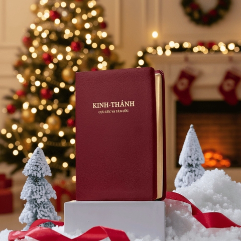 Bìa đỏ - mạ vàng - Kinh thánh 1925 khổ lớn 14x21cm in tại Hàn Quốc