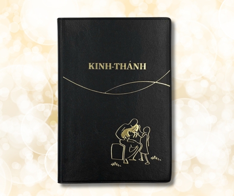 Kinh Thánh Bản dịch 1925 Mạ Vàng Cỡ Trung 12x18cm (Có Hình Ảnh Màu Minh Họa)