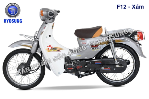 CUB 81 HYOSUNG