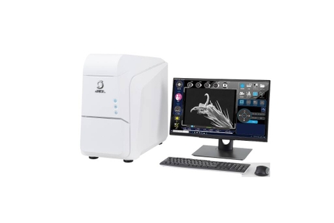 Scanning Electron Microscope (SEM)