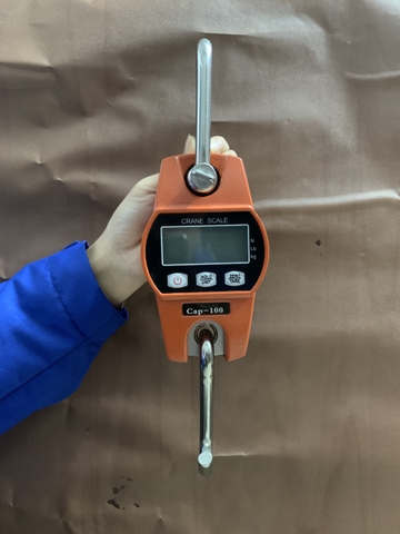 Cân móc treo điện tử OCS-C tải 100kg/100g
