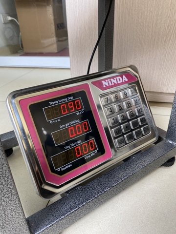 Cân ghế điện tử NiNDA AD6-500 cân tối đa 500kg