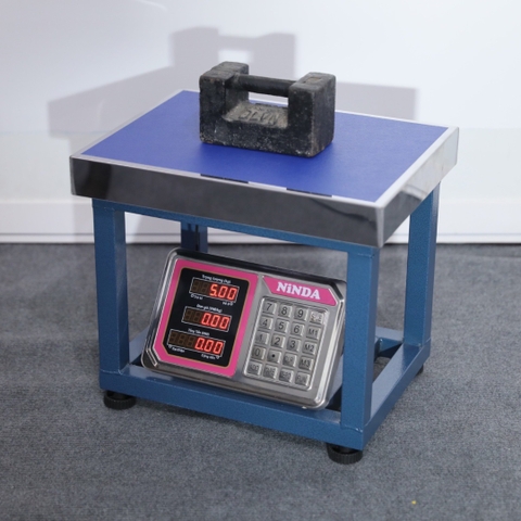 Cân ghế điện tử NiNDA AD6 tải trọng 150kg/20g, cân phế liệu, kim khí, nông sản
