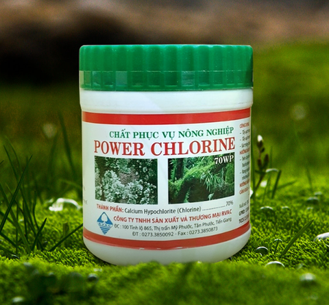 Bột Tẩy Rong Rêu Power Chlorine, Tác Dụng Nhanh, Hiệu Quả Cao