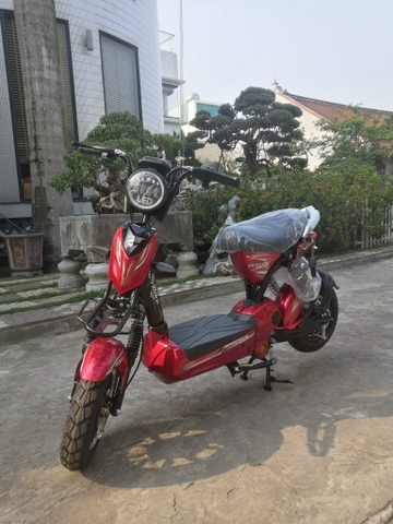 Xe đạp điện M133 PLUS