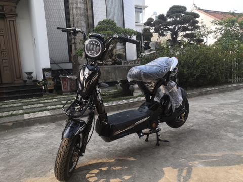 Xe đạp điện M133 PLUS