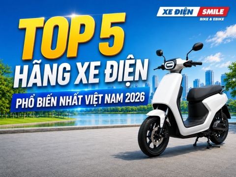 Top 5 Hãng Xe Điện Phổ biến Nhất Việt Nam 2026