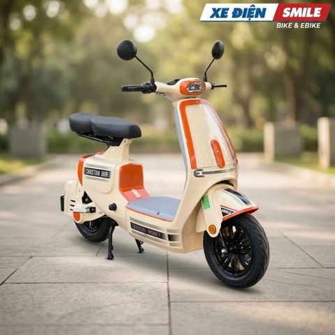 Mua Xe Điện Cho Con Đi Học An Toàn, Phụ Huynh Cần Lưu Ý Gì?