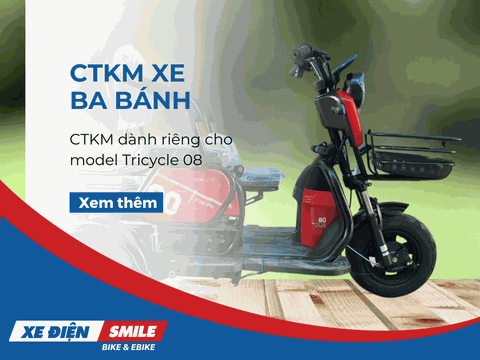 Mẫu xe điện ba bánh Tricycle 08 giảm giá cho người lớn tuổi, cô chú chân yếu!