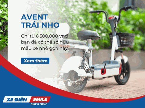 Chi tiết dòng xe đạp điện Avent Trái Nho - 6.500.000 vnđ