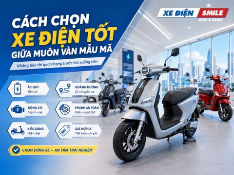 Cách Chọn Xe Điện Tốt Giữa Muôn Vàn Mẫu Mã