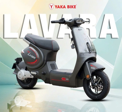 LAVARA – Chọn Màu Theo Cá Tính, Nổi Bật Theo Cách Riêng Của Bạn ✨