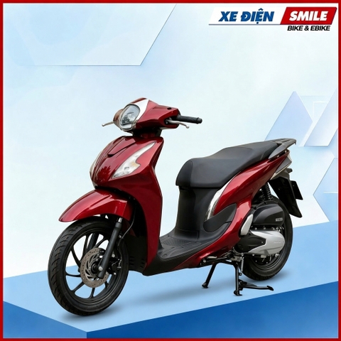 Xe điện DETECH SOLO (P) 2 Pin