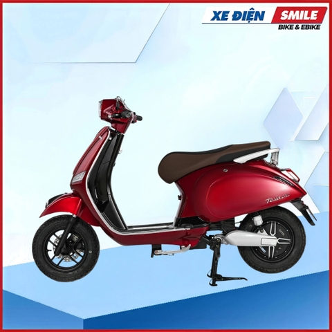 XE ĐIỆN DIBAO TESLA DIO