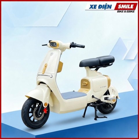 XE ĐIỆN LUYUAN PRO