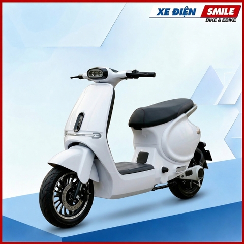 XE ĐIỆN NAVO SONA 4 BÌNH