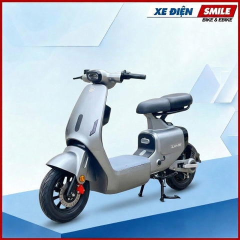 XE ĐIỆN LUYUAN