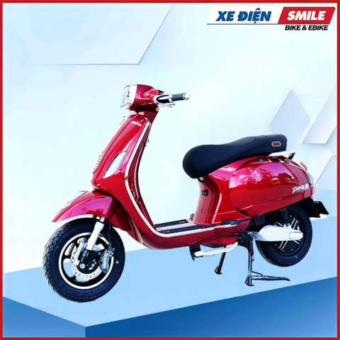 XE MÁY ĐIỆN DIBAO PANSY SQ2