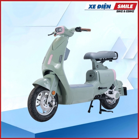 XE MÁY ĐIỆN DIBAO ELLA