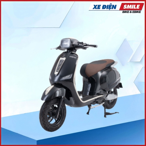 XE MÁY ĐIỆN DIBAO PANSY DIO 2025