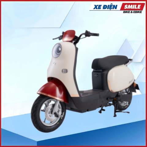 Xe Điện Hottrend Dibao Rosa (60V-22A) 5 Bình