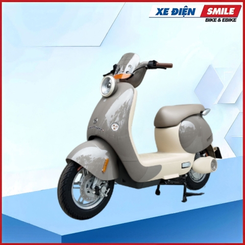 XE MÁY ĐIỆN DIBAO QUEEN