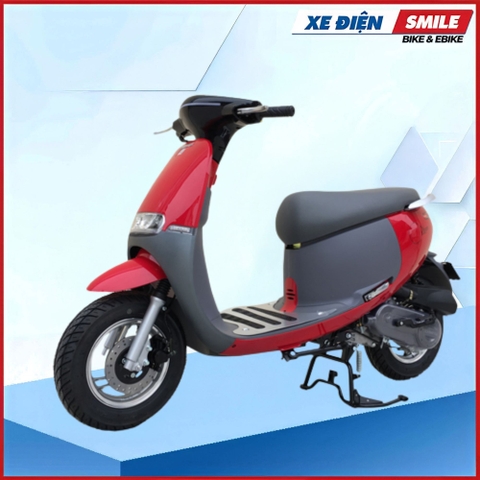 XE MÁY DIBAO 50CC GOFAST