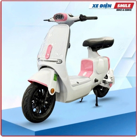Xe Điện Dv Motor Takashi Money Pro (60V-23Ah) 5 Bình
