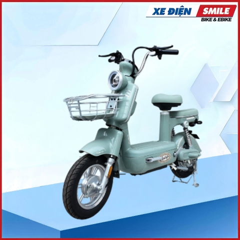 XE MÁY ĐIỆN DIBAO AMY