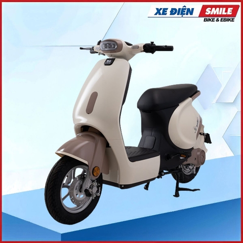 Xe Điện Dibao S-One (60V-22A) 5 Bình