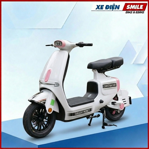Xe Điện Dv Motor Takashi Money Pro (60V-23Ah) 5 Bình