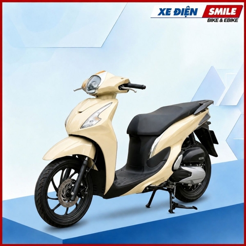 Xe điện DETECH SOLO (P) 2 Pin
