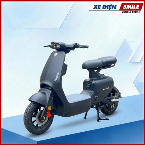 XE ĐIỆN LUYUAN