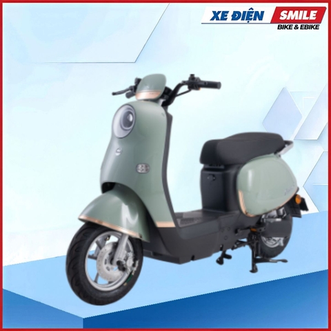 Xe Điện Hottrend Dibao Rosa (60V-22A) 5 Bình
