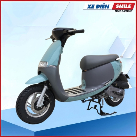 XE MÁY DIBAO 50CC GOFAST