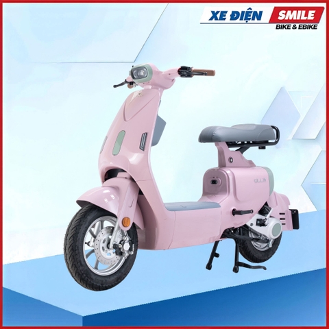 XE MÁY ĐIỆN DIBAO ELLA