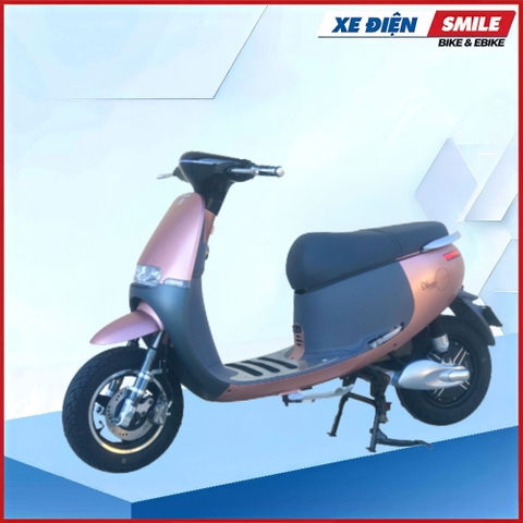 XE MÁY ĐIỆN DIBAO GOGO S4