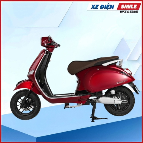 XE MÁY ĐIỆN DIBAO CREER NILE
