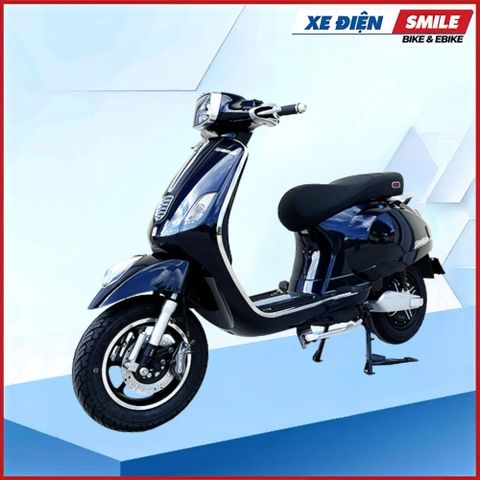 XE MÁY ĐIỆN DIBAO PANSY SQ2