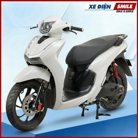 Xe Điện DETECH VELIA E (P) 2 PIN