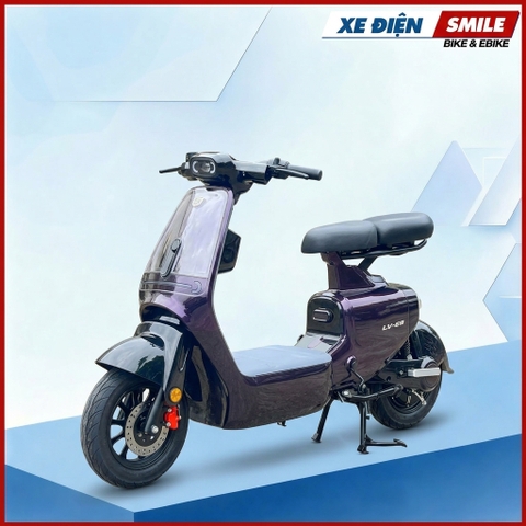 XE ĐIỆN LUYUAN PRO