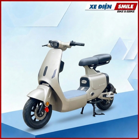 XE ĐIỆN LUYUAN