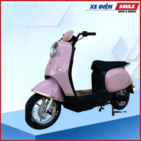 Xe Điện Hottrend Dibao Rosa (60V-22A) 5 Bình