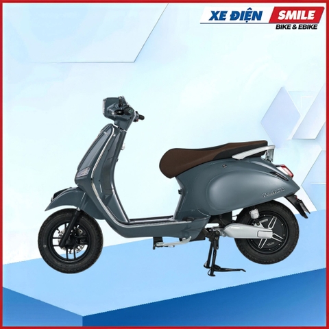 XE ĐIỆN DIBAO TESLA DIO