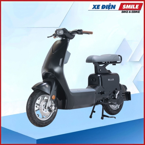 XE MÁY ĐIỆN DIBAO ELLA