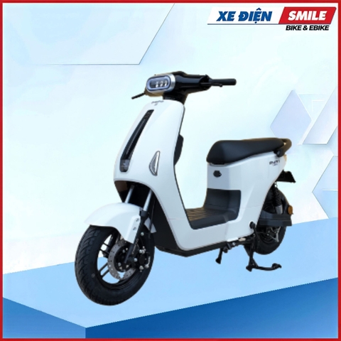 XE MÁY ĐIỆN DIBAO RYAN